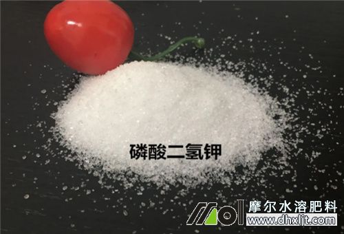 SϽYڛ_