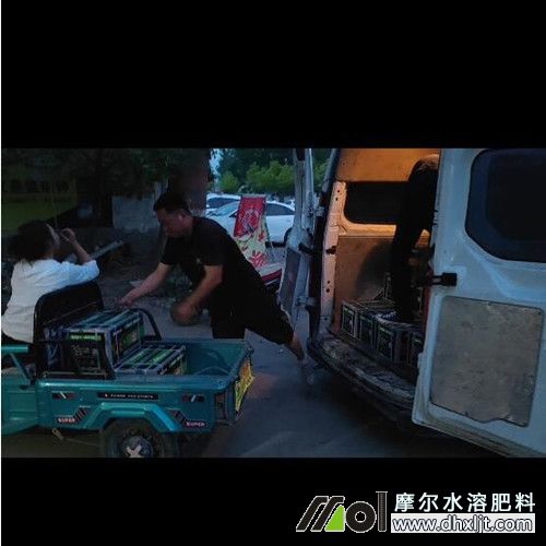 ꖿ͑؛T1